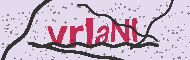 Güvenlik Kodu